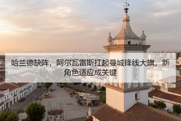 ha-lan-de-que-zhen-a-er-wa-lei-si-kang-qi-man-cheng-feng-xian-da-qi-xin-jue-se-shi-ying-cheng-guan-jian-2-606.jpg