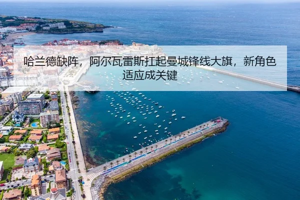 ha-lan-de-que-zhen-a-er-wa-lei-si-kang-qi-man-cheng-feng-xian-da-qi-xin-jue-se-shi-ying-cheng-guan-jian-3-433.jpg