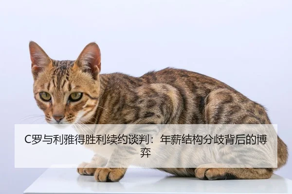 luo-yu-li-ya-de-sheng-li-xu-yue-tan-pan-nian-xin-jie-gou-fen-qi-bei-hou-de-bo-yi-3-762.jpg