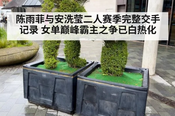陈雨菲与安洗莹二人赛季完整交手记录 女单巅峰霸主之争已白热化